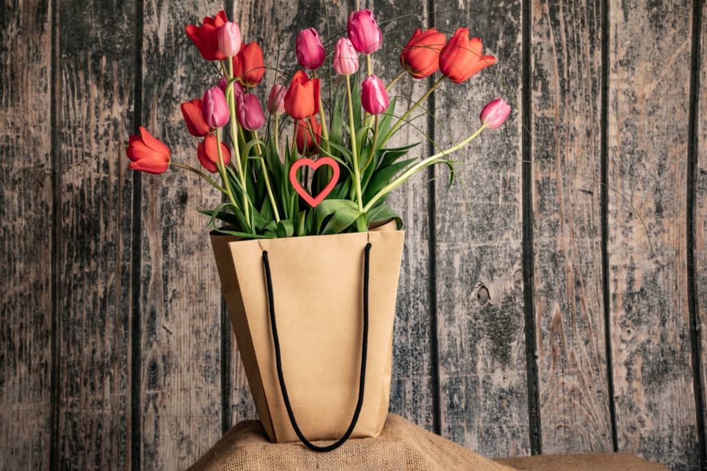 Valentine tulips