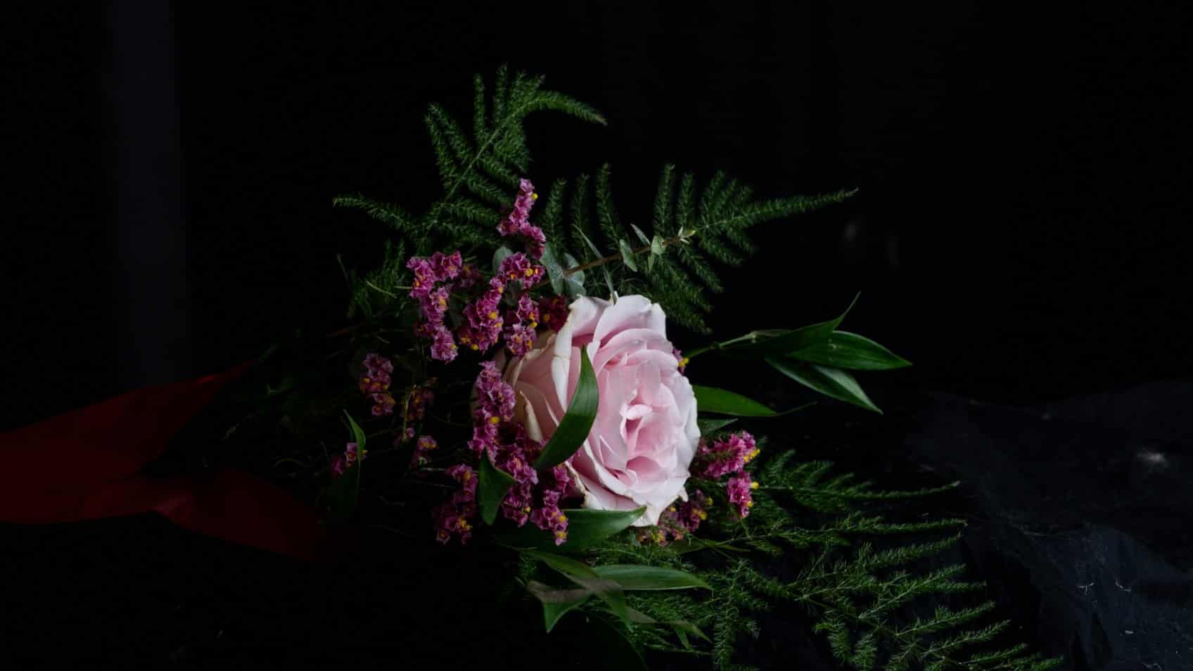 Warda wahda
