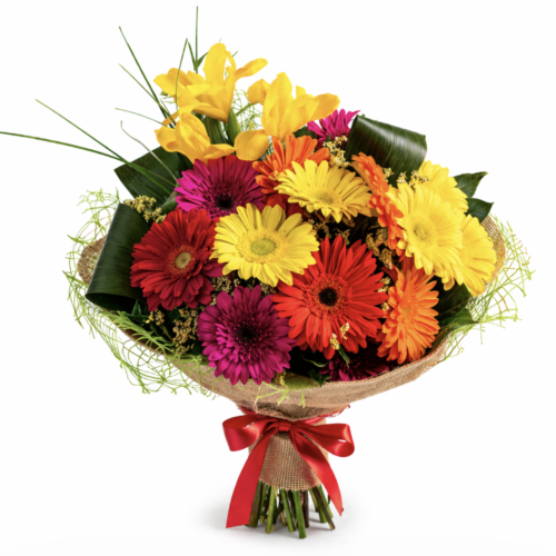 Gerbea bouquet