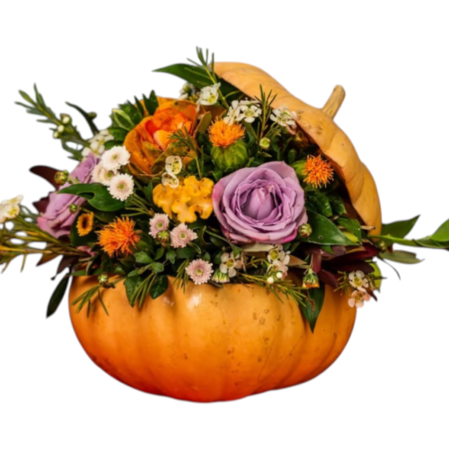 pumpkin flower arrangement Malta with roses and celosia