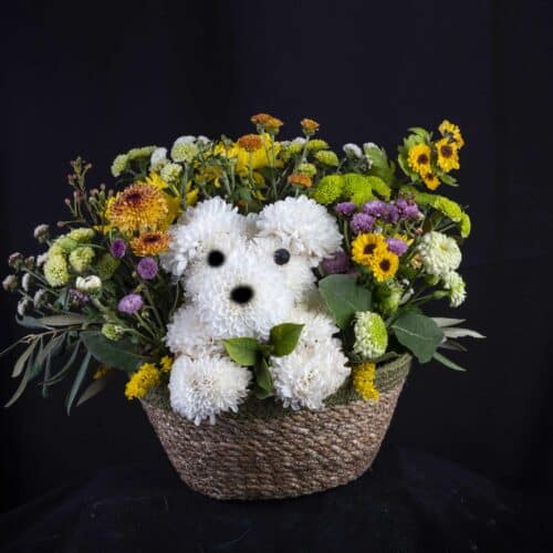 flower puppy Malta floral dog arrangement basket