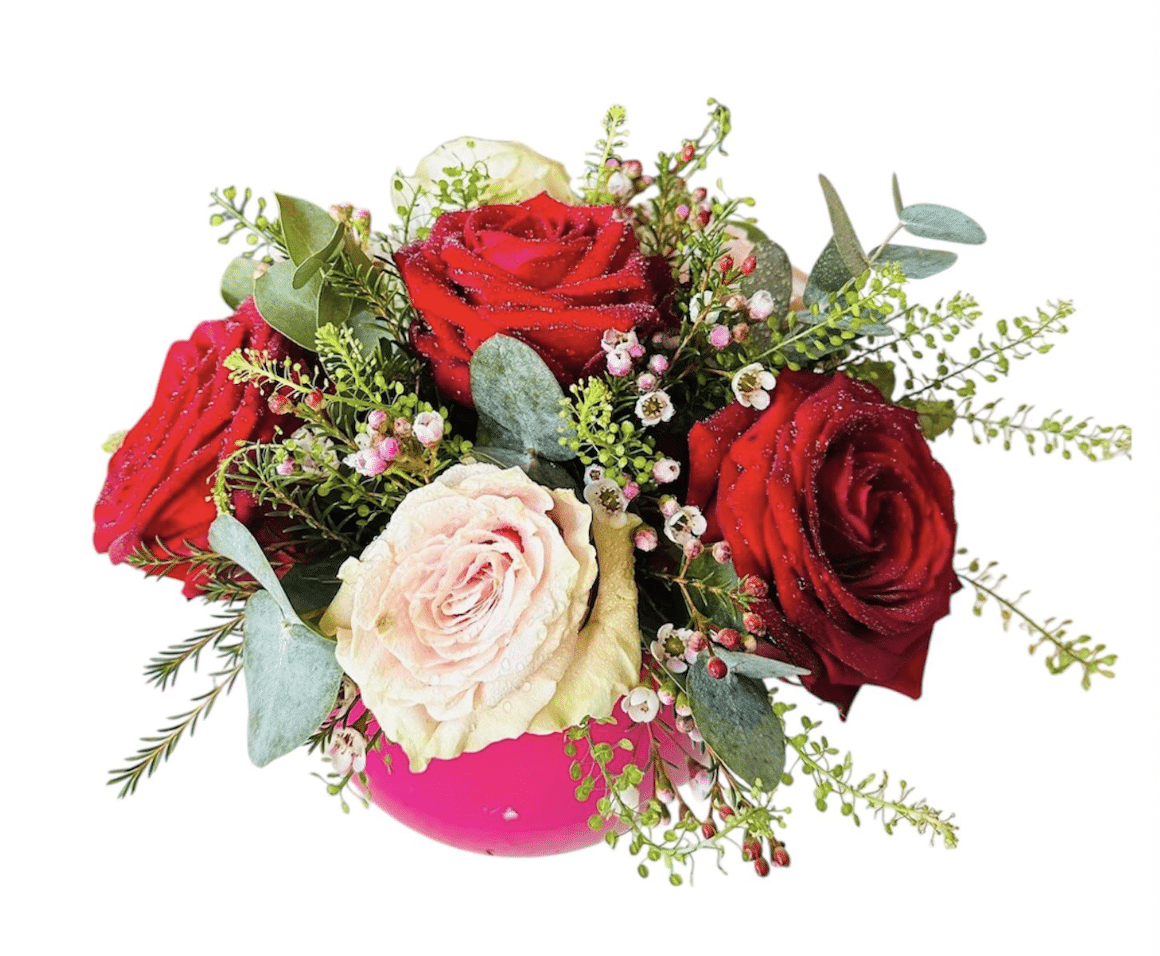 Il - principessa tieghi